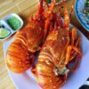 Tôm hùm ngộp rang muối HK / Hấp bia