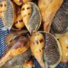 Ốc giác vàng